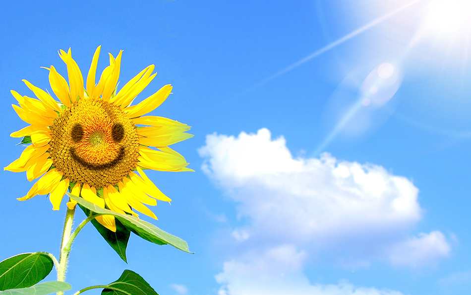 钟南桥，坚持只为热爱（images 10）